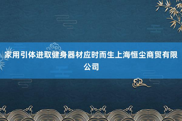 家用引体进取健身器材应时而生上海恒尘商贸有限公司